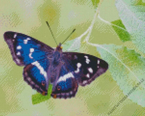 Devon Butterfly Diamond Painting