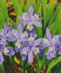 Dwarf Crested Iris Diamond Painting