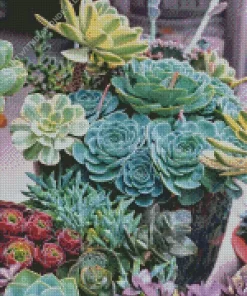 Echeveria Imbricata Succulent Diamond Painting