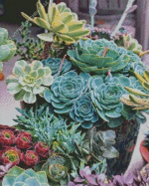 Echeveria Imbricata Succulent Diamond Painting