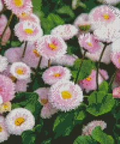 English Daisies Diamond Painting