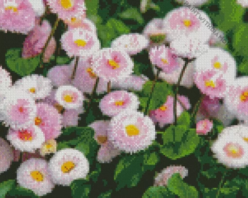 English Daisies Diamond Painting