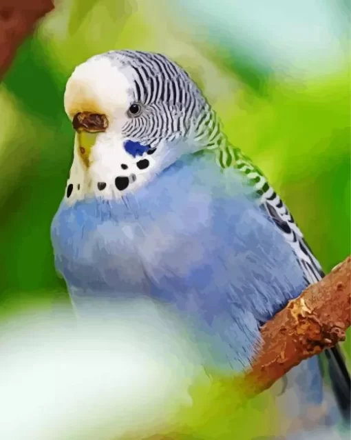 Feathered Budgie Diamond Painting