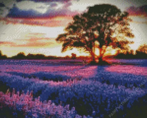 Field Of Lilacs Diamond Painting