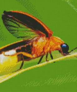 Firefly Diamond Painting