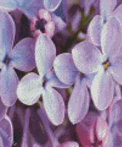 Flower Lilacs Diamond Painting