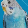 Fluffy Budgie Diamond Painting