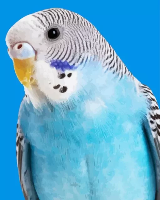 Fluffy Budgie Diamond Painting