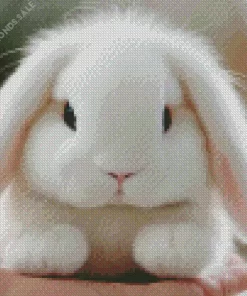 Fluffy Rabbit Diamond Painting