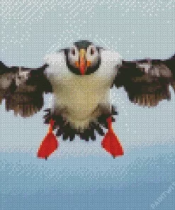 Flying Atlantic Puffin Diamond Painting