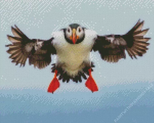 Flying Atlantic Puffin Diamond Painting