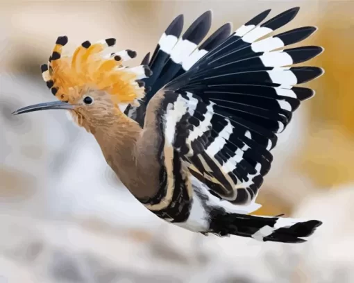 Flying Eurasian Hoopoe Bird Diamond Painting