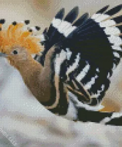 Flying Eurasian Hoopoe Bird Diamond Painting