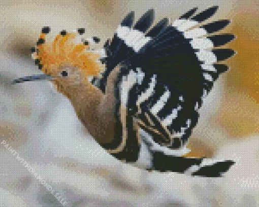 Flying Eurasian Hoopoe Bird Diamond Painting