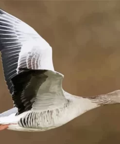 Flying Greylag Goose Diamond Painting