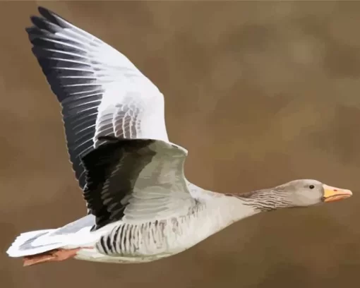 Flying Greylag Goose Diamond Painting