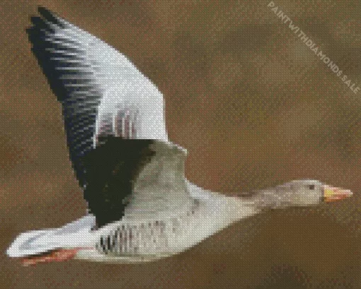 Flying Greylag Goose Diamond Painting