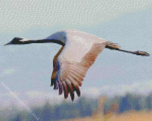 Flying Grus Genus Diamond Painting