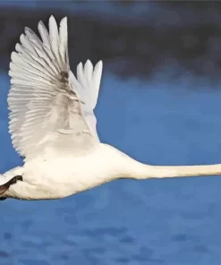 Flying Mute Swan Diamond Painting