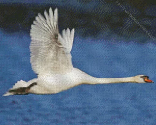 Flying Mute Swan Diamond Painting