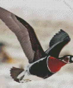 Flying Red Breasted Goose Diamond Painting