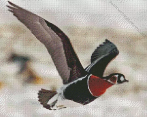 Flying Red Breasted Goose Diamond Painting