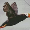 Flying Tufted Puffin Diamond Painting