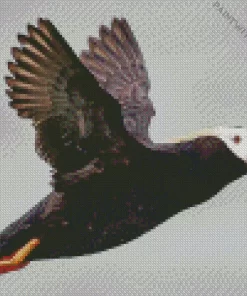 Flying Tufted Puffin Diamond Painting