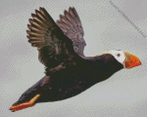 Flying Tufted Puffin Diamond Painting