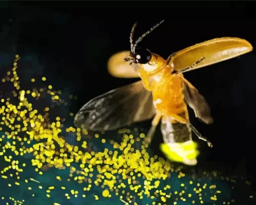 Flying Firefly Diamond Painting