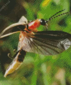 Flying Firefly Close Up Diamond Painting