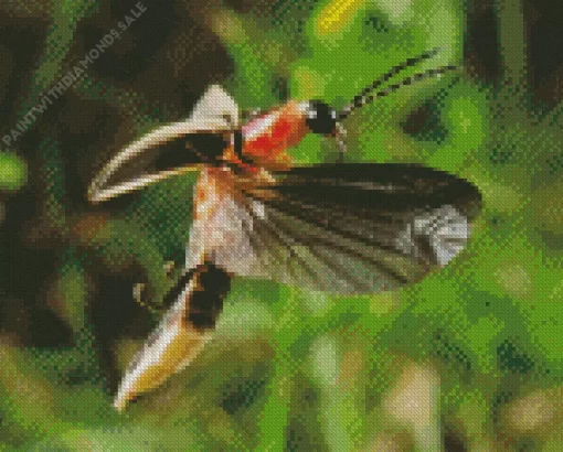 Flying Firefly Close Up Diamond Painting