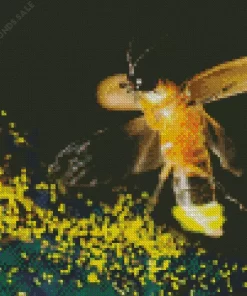 Flying Firefly Diamond Painting