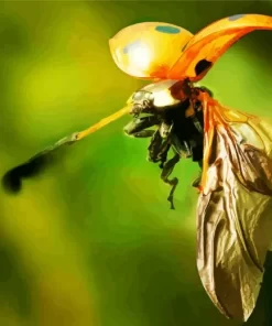 Flying Ladybug Diamond Painting