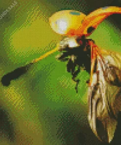 Flying Ladybug Diamond Painting