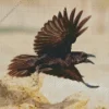 Flying Punjab Raven Diamond Painting