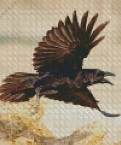 Flying Punjab Raven Diamond Painting