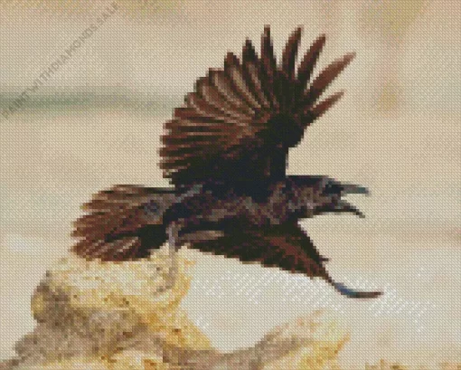 Flying Punjab Raven Diamond Painting