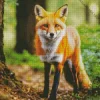 Fox In Forest Diamond Painting