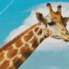 Funny Giraffe Diamond Painting