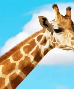 Funny Giraffe Diamond Painting