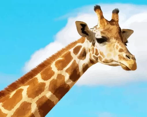 Funny Giraffe Diamond Painting