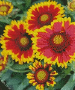 Gaillardia Daisy Flower Diamond Painting