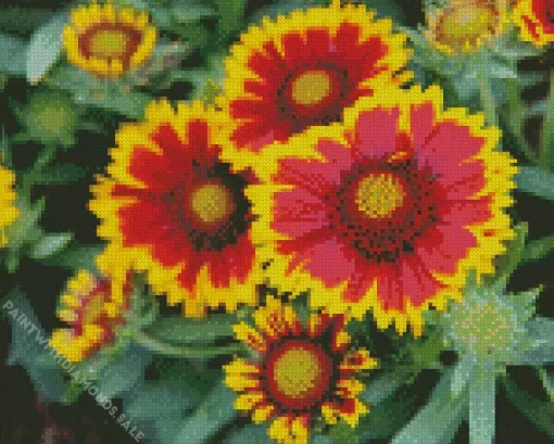 Gaillardia Daisy Flower Diamond Painting