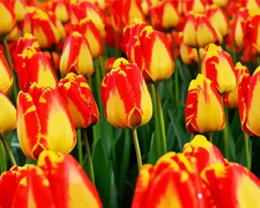 Giant Darwin Tulips Diamond Painting