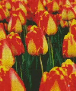 Giant Darwin Tulips Diamond Painting