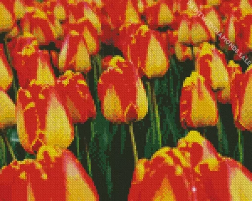 Giant Darwin Tulips Diamond Painting