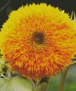 Giant Teddy Bear Sunflower Diamond Painting