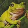 Green Frog Diamond Painting