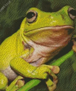 Green Frog Diamond Painting